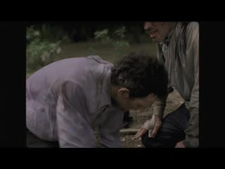 son of saul (2015) - military drama, parable. leslo nemes